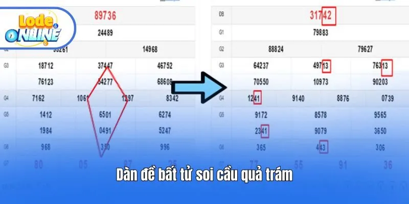 Dàn đề bất tử soi cầu quả trám